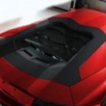 Карбоновые центральные части крышки двигателя Mansory Style 2 для Lamborghini Aventador