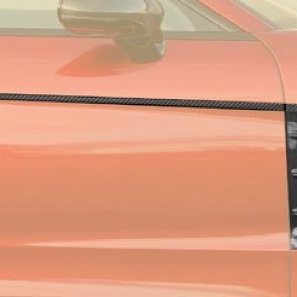 Карбоновые воздухозаборники крыла с дверной полосой Mansory Style для Porsche Panamera